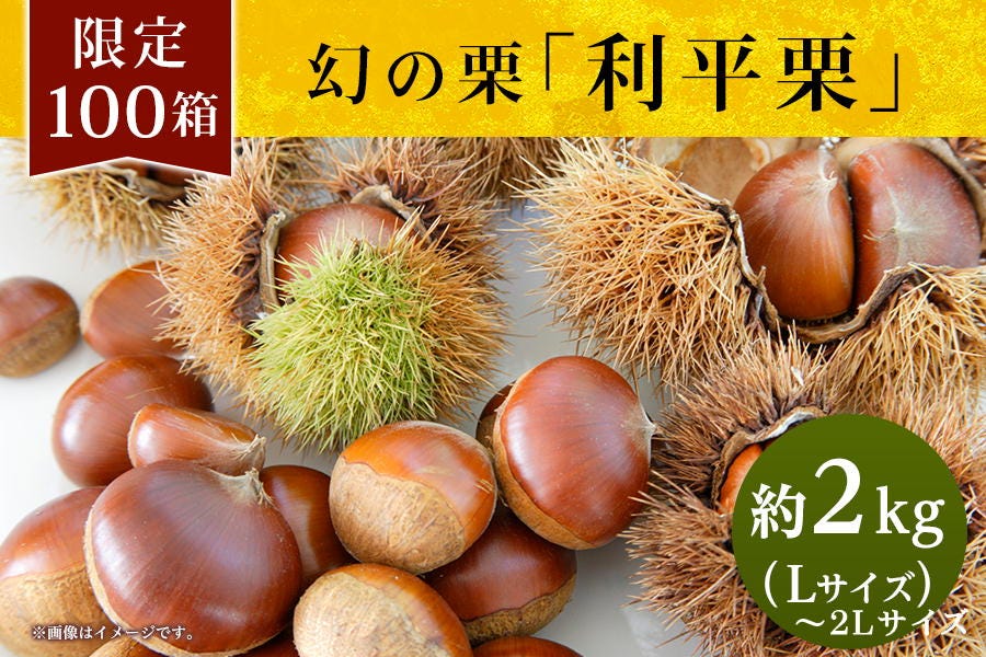 宇城のおすすめ【利平栗】L～2Lサイズ ９／20日頃～発送 【限定価格】: ＪＡ熊本うきっ子ショップ|【ＪＡタウン】産地直送 通販 お取り寄せ