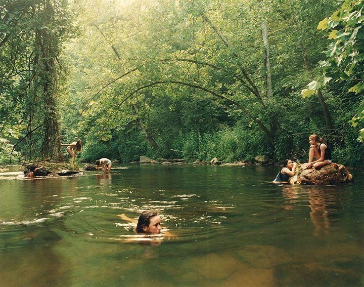 A Pinterest pin added by liam on Jan 16, 2023. The author is adriennemporter. May present: plant, girl pictures, justine kurland: girl pictures (signed edition), justine kurland, justine kurland girl.