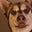 CKB's avatar