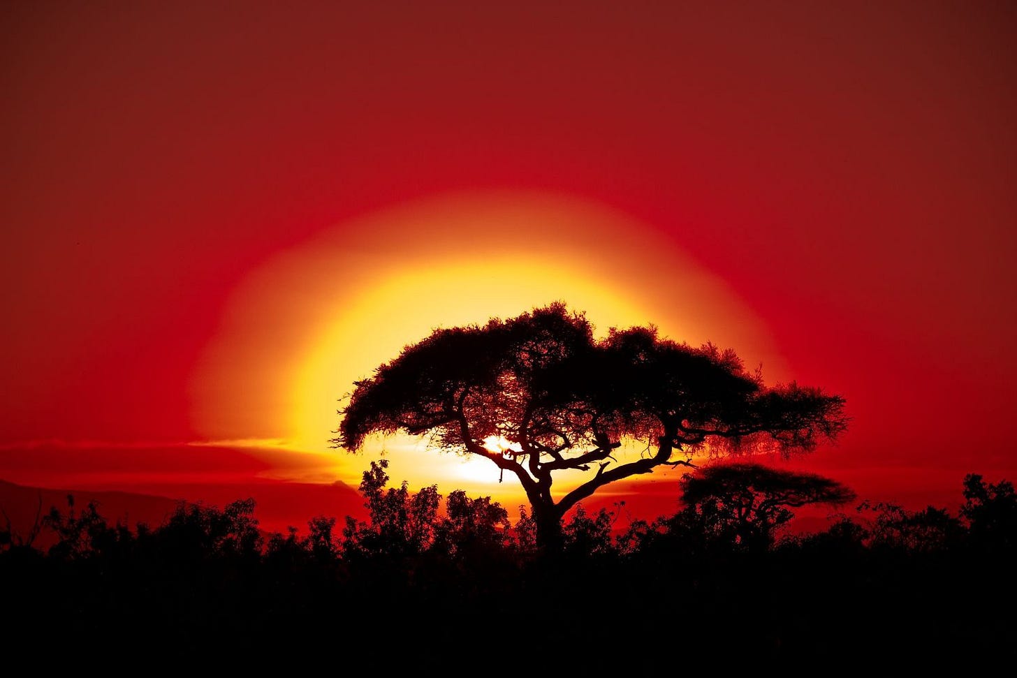 The Secret to Sunset Landscape: Gear | Camera Setting | Techniques
