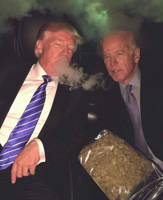 A photoshopped image of Joe Biden and Donald Trump smoking a pound of weed in the back of a limo