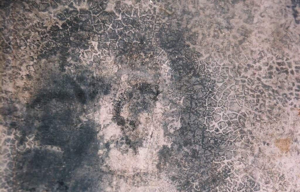 The Belmez faces appeared in the Andalusian home. 