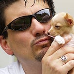 Midnight Mass News by Mike Crawford