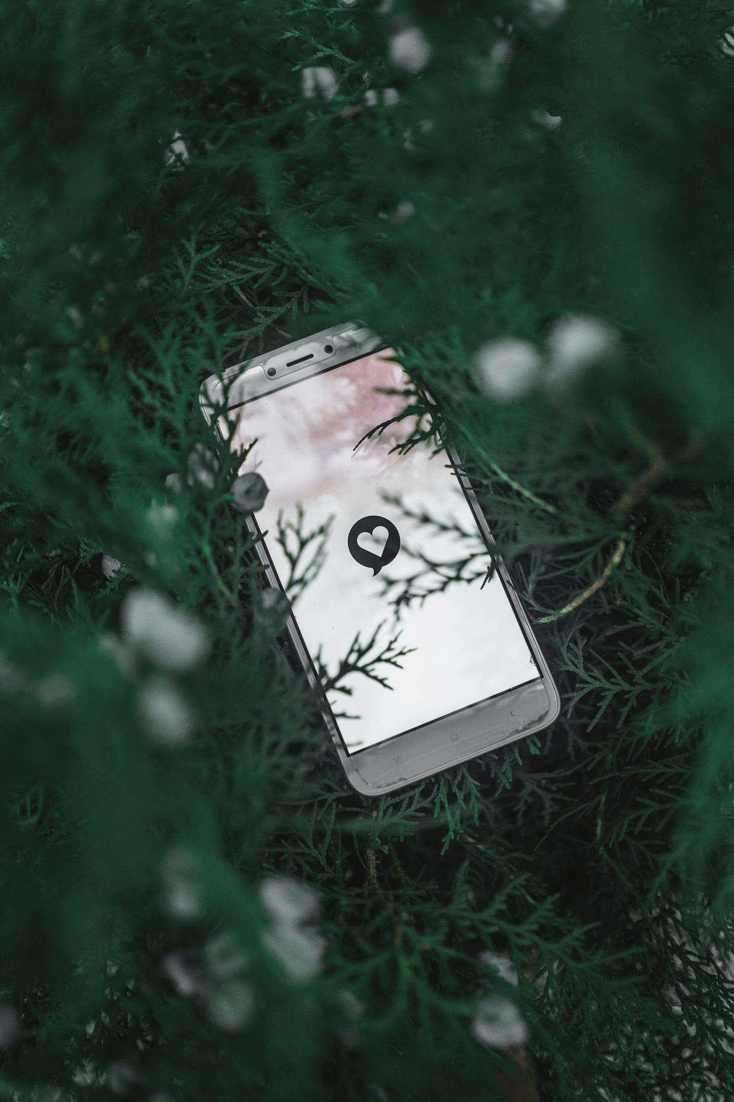 A white phone with a black square has a white heart sitting in the center of the square. The phone is nestled deep into a bush that looks like dark green pines.