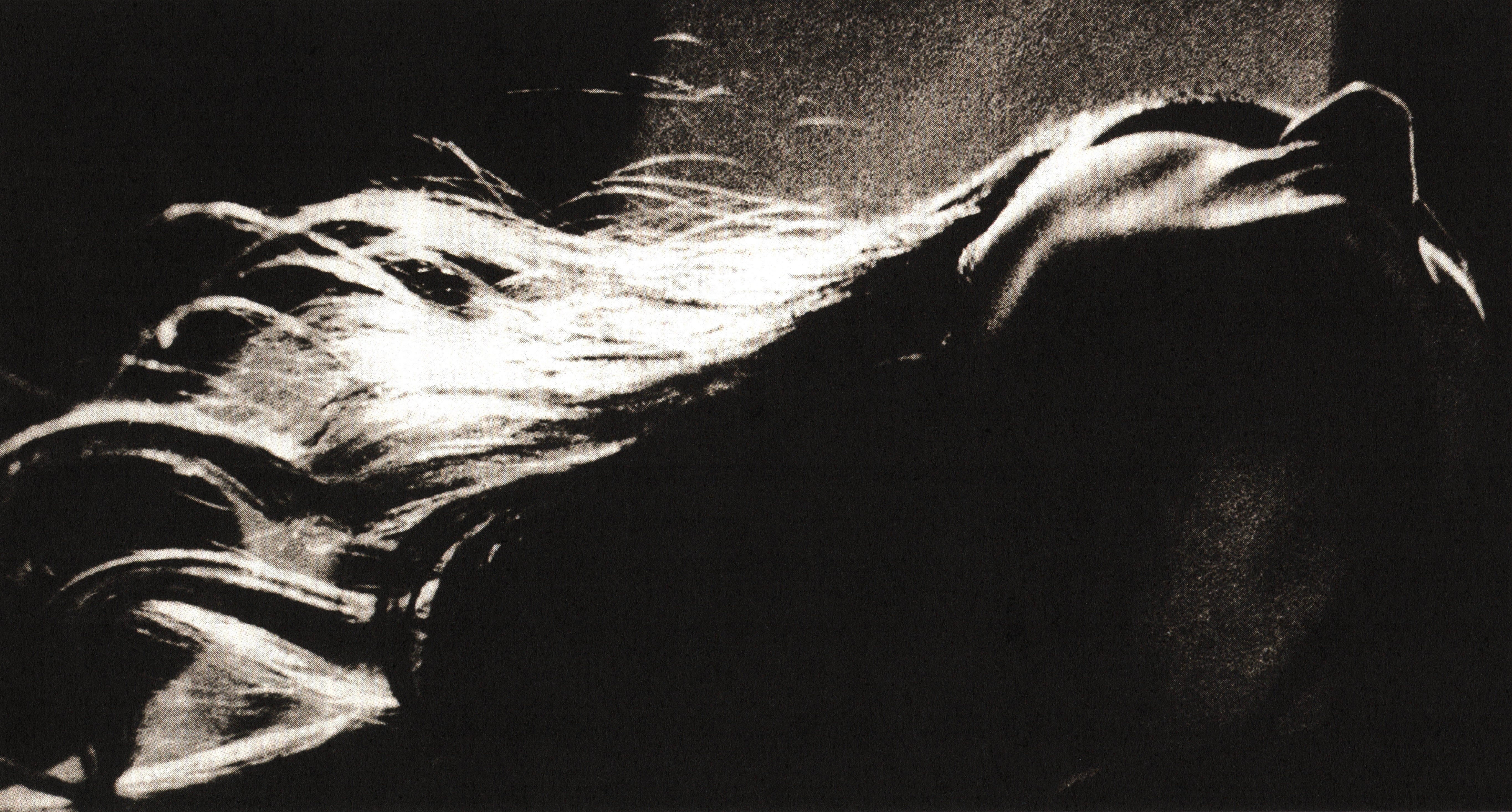 The Memory Remains: Veronique Branquinho, 2001