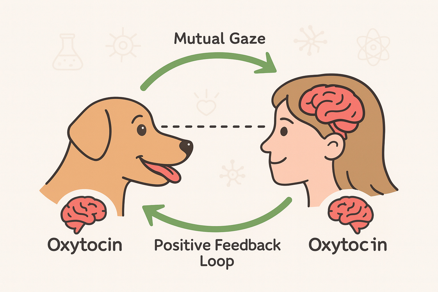 Dogs, Death, Data: How Your Companion Helps You Live Longer, image size:1536x1024