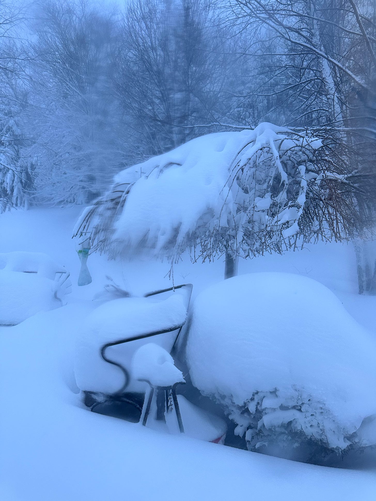 a snow-covered landscape in the blue dawn light