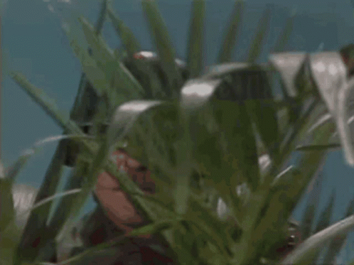 Very Interesting GIFs | Tenor Very Interesting GIFs | Tenor