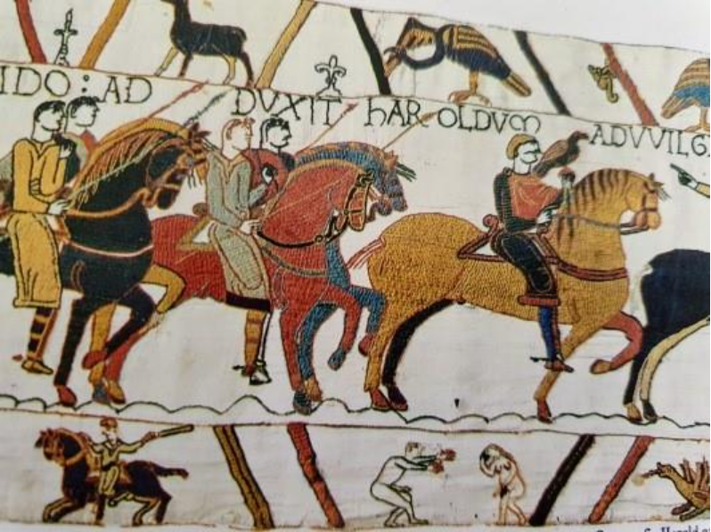 The Bayeux Tapestry penis 2