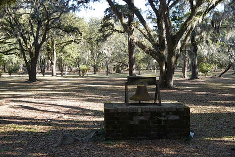 Trees at Hopsewee Plantation, along with a red flowering bush. The sun is shining through the branches of a very old live oak tree. Last photo shows an old dinner bell with trees in the background.