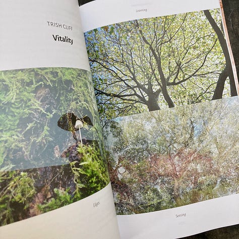 The grid shows images from An Anthology of Warm Data, including the cover and various illustrated pages form the magazine.