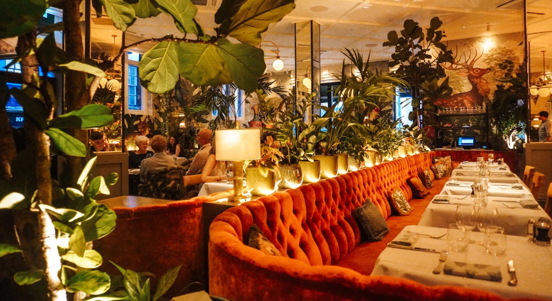 The Ivy Nottingham Brasserie: “A great choice for a special occasion” — food review