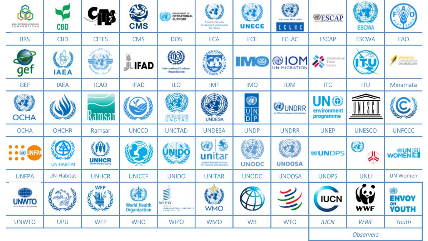 UN Careers for Recent Graduates: Entry-Level Opportunities to Consider 2025  - United Nations Recruit