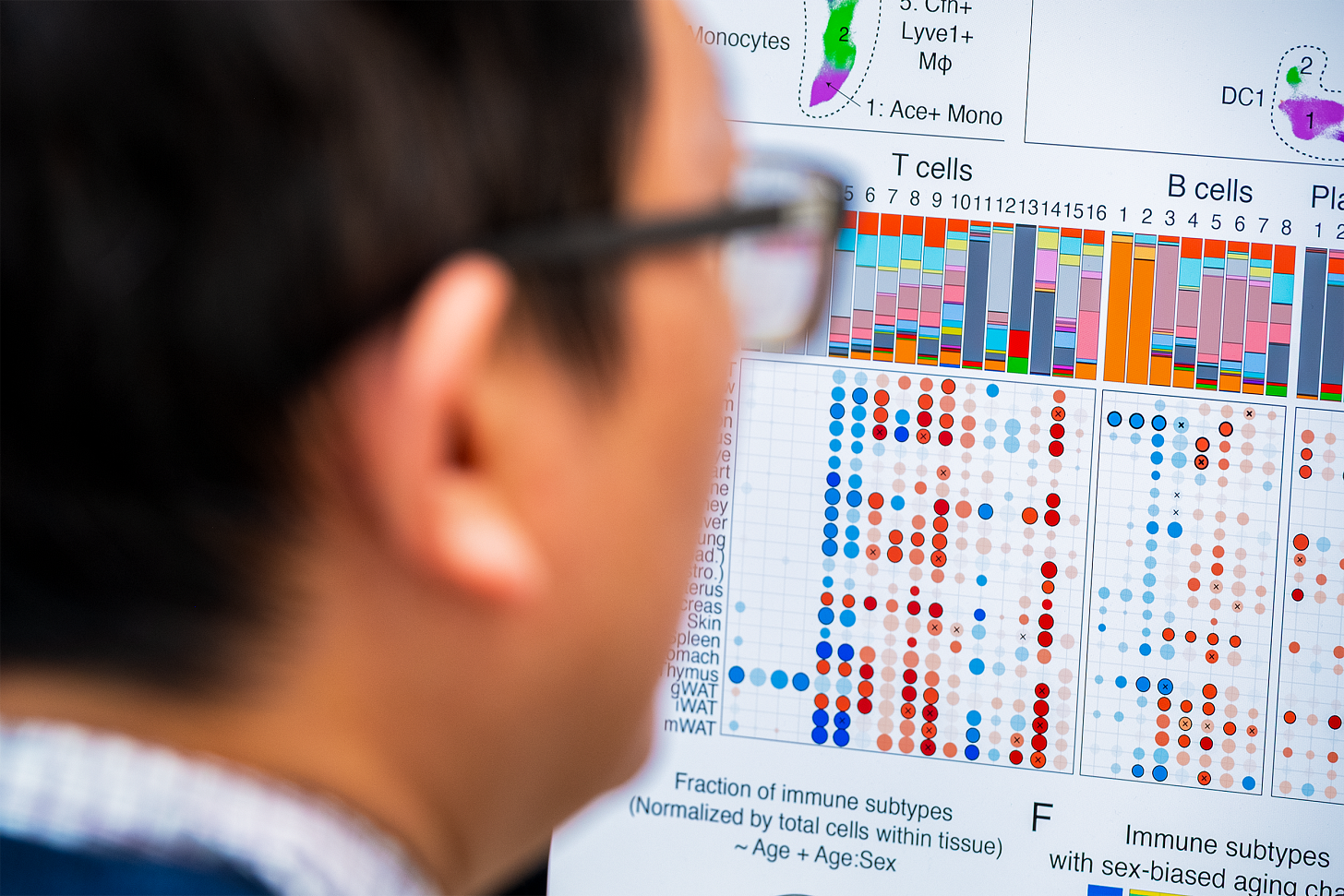 A man from behind looking at genetic data A man from behind looking at genetic data