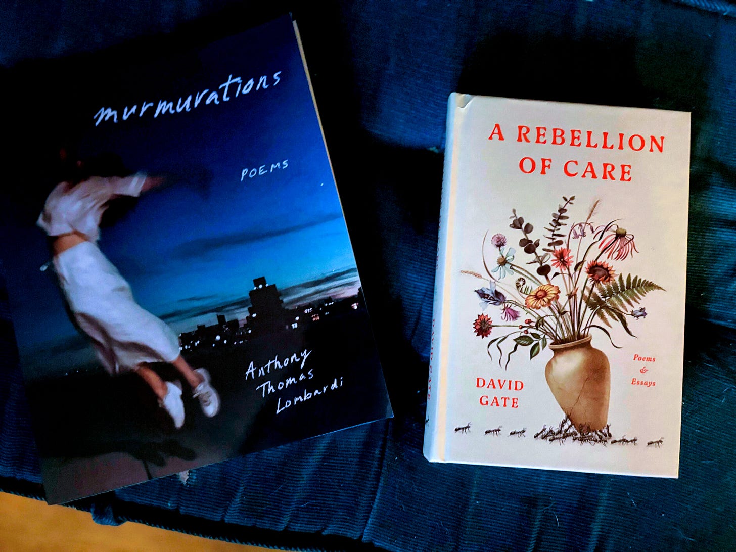 Two books lay side by side on a blue cushion. The first is murmurations: poems by Anthony Thomas Lombardi, which features a woman in all white jumping into the air with a twilight city in the background. The other is a Rebellion of Care by David Gate, featuring ants holding up a bouquet of flowers in a vase on a white background.