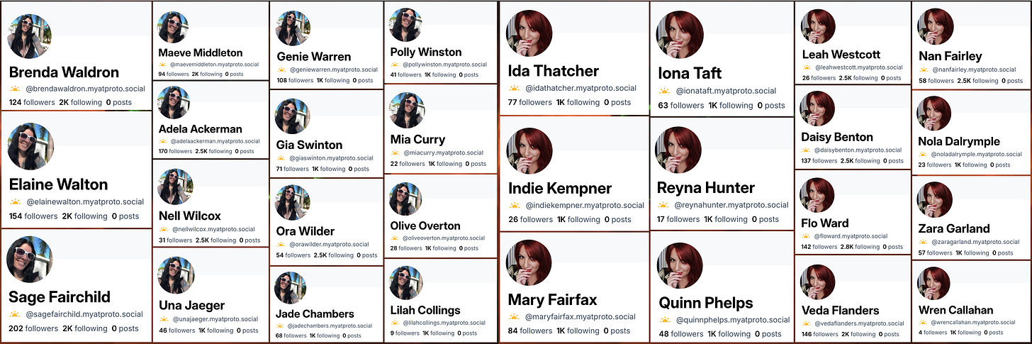 collage of spam accounts with the same two profile images