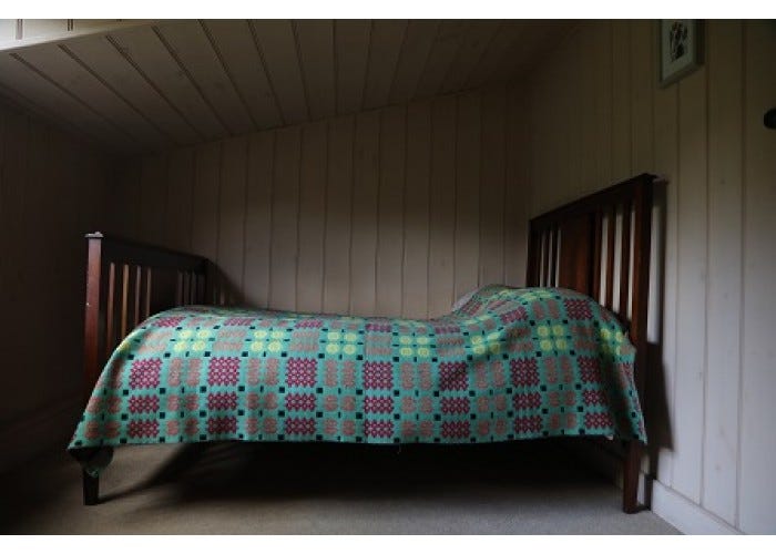 The Welsh Blanket - by Helen Rees Leahy - Woven in History