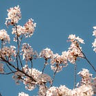 the light came back, as it always does