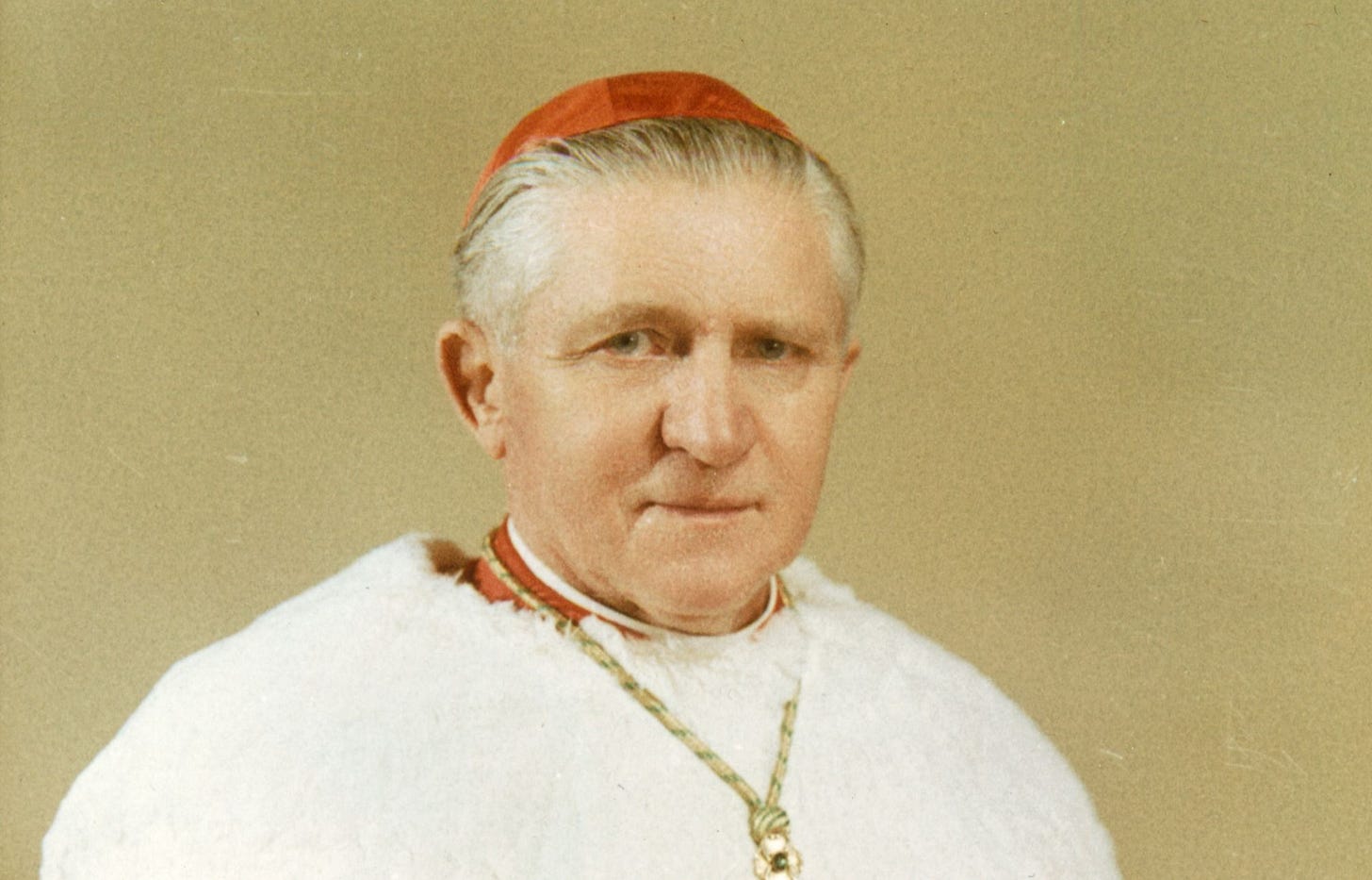 The story of the cardinal from Fargo The story of the cardinal from Fargo