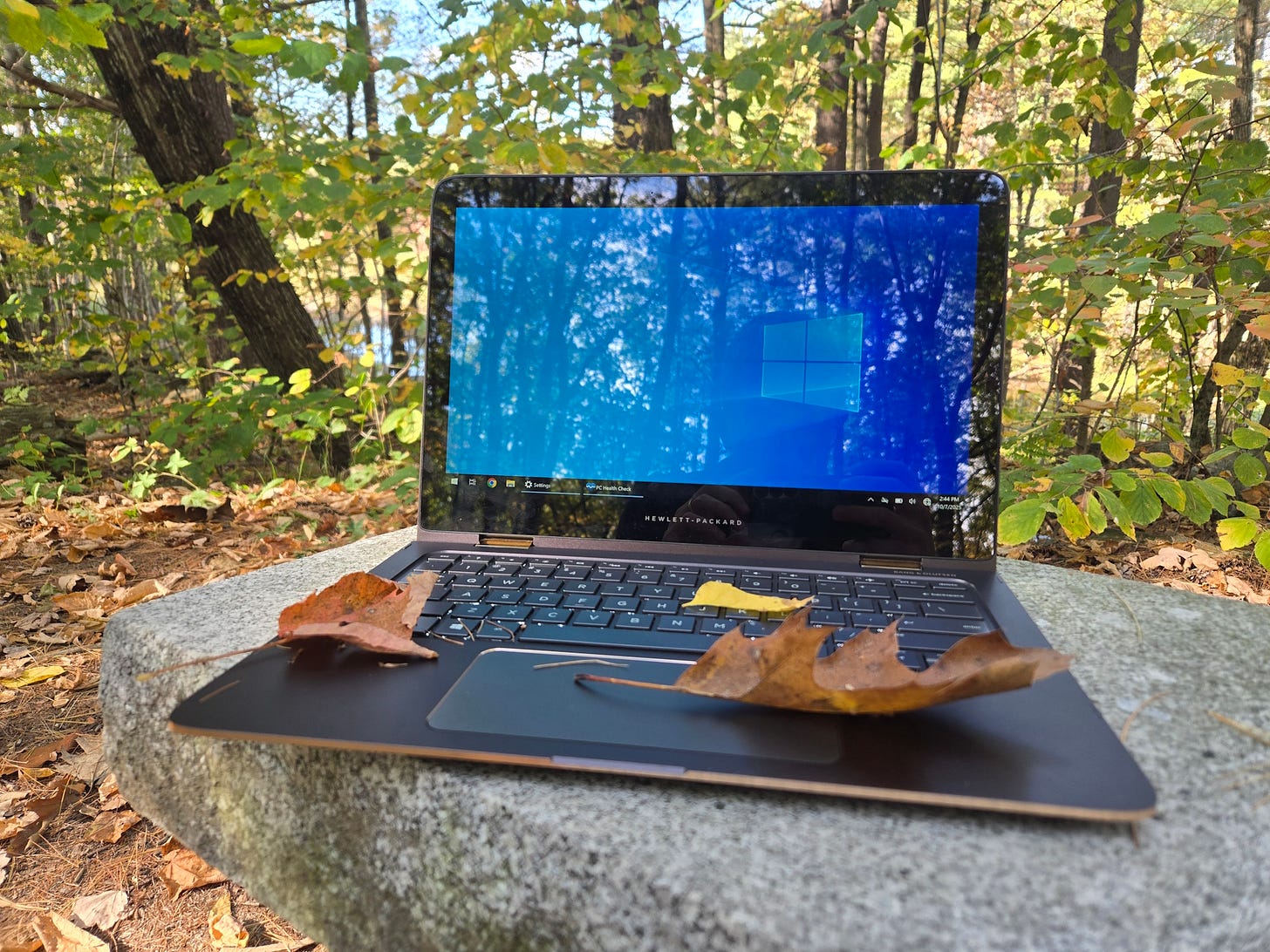 A Windows 10 laptop in the woods in fall, with leaves on its keyboard.