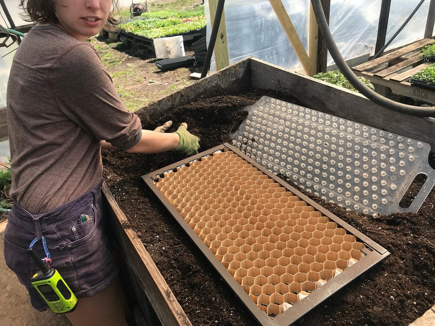 Seeding table filled with soil with a paper pot tray on top of the soil and a figure holding soil to fill the tray. Seeding table filled with soil with a paper pot tray on top of the soil and a figure holding soil to fill the tray.