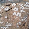 Anthropology.net