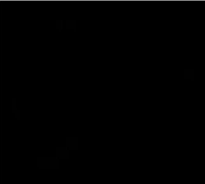 Charlie Kirk: Silenced by the Party of Hatred