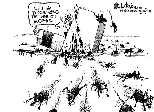 Stephen Lautens on Twitter: "I guarantee this will not be ...