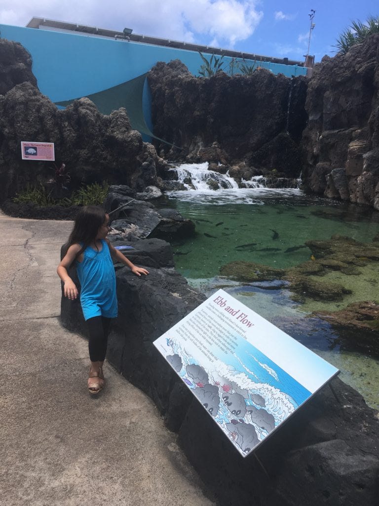 Maui Ocean Center