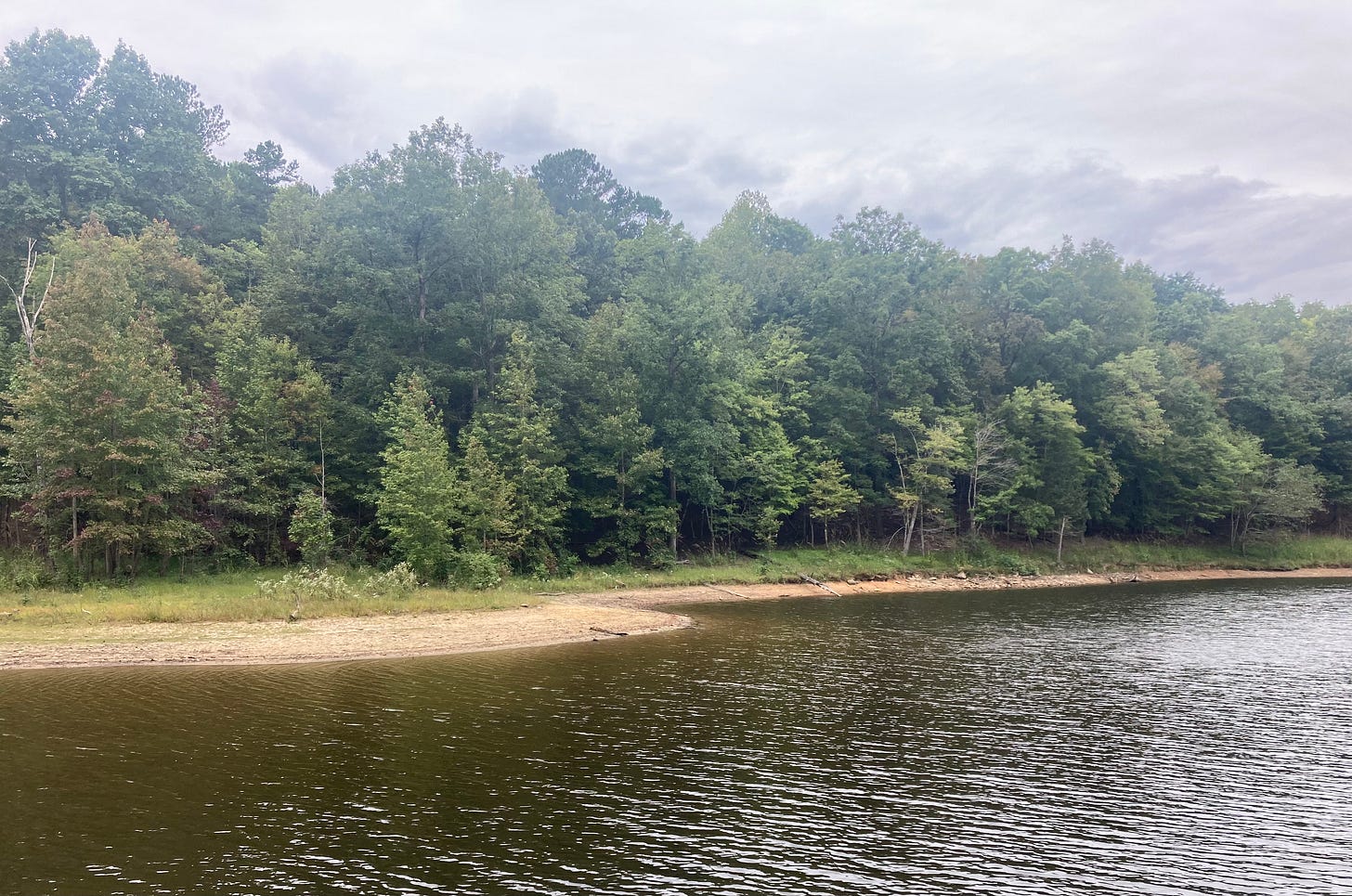 green lake with trees and clouds beyond