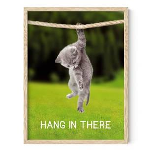 Haus and Hues Hang in There Cat Poster - Funny Cat Poster Cat Poster Cute  Posters Motivational Poster Inspirational Poster 12"x16" - Etsy