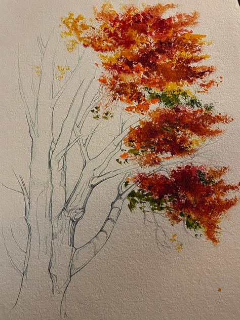 Yellow hickory, red maples, rusty dawn redwood, mixed hardwood forest on Asylum Lake, grapevines, and saffron bog Tamarack.