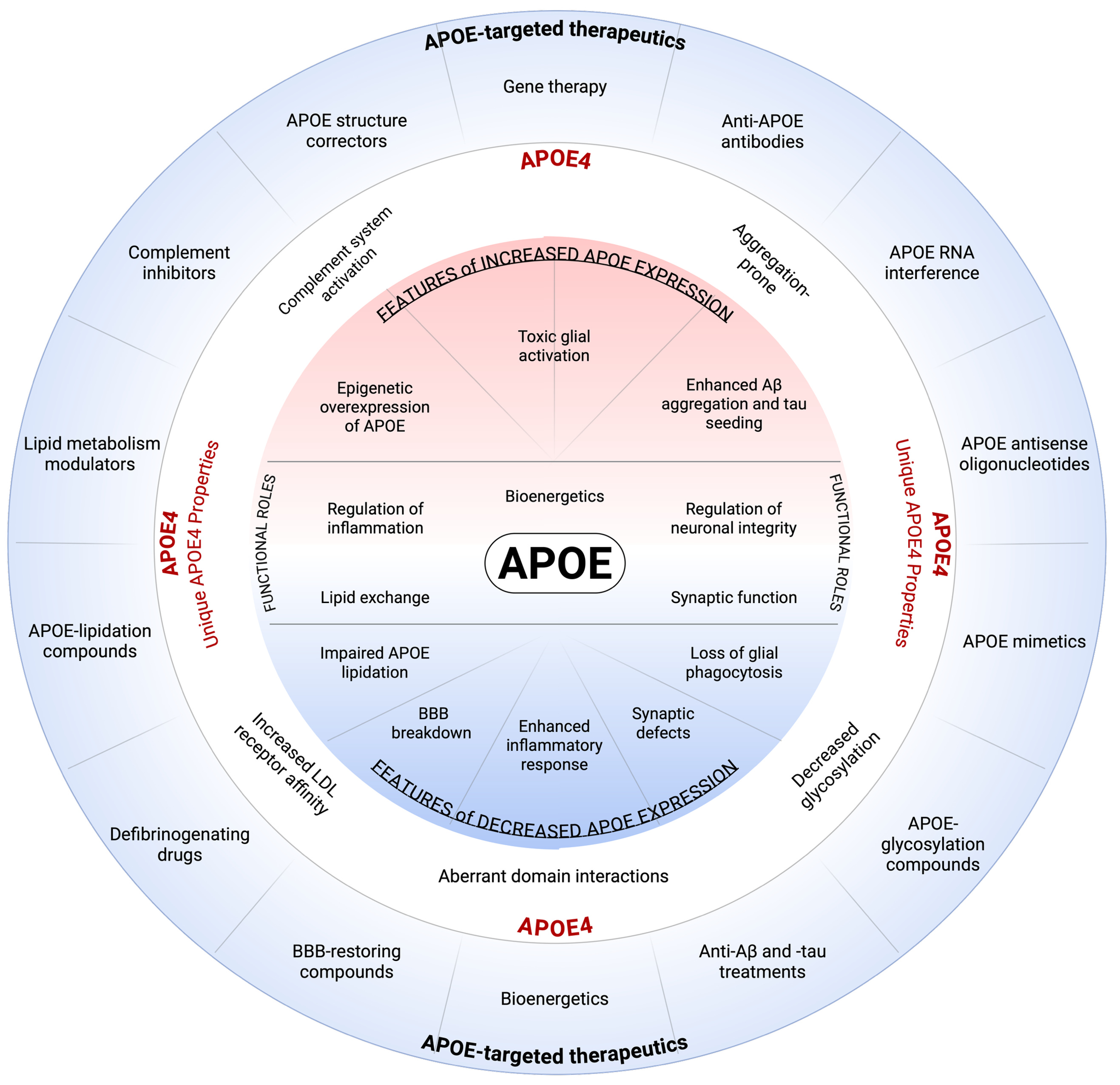 ApoE directed Therapeutics in Alzheimer's disease, SFN 2025