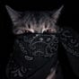 fatimah's avatar