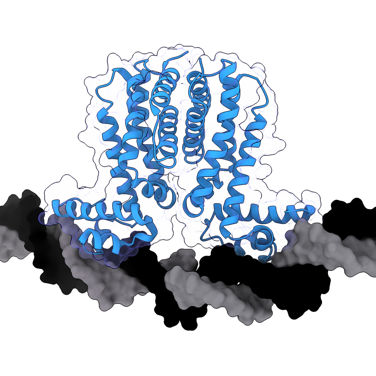 Substack profile picture for @ligand