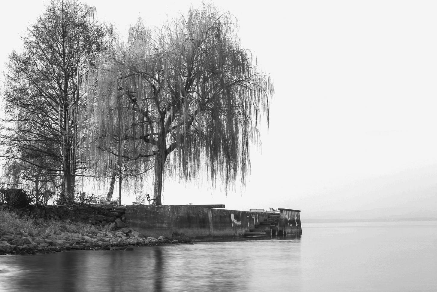 Black and white image of a misty, serene lakeside scene featuring two large, bare trees, next to a concrete embankment. One of them is a willow tree with drooping branches. A lone bench sits under the willow. The calm water reflects the sky, creating a peaceful atmosphere.