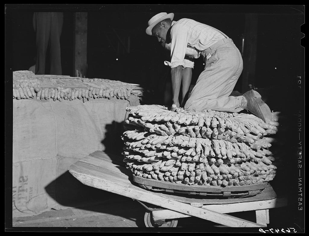 A person working on a large pile of rolled tobacco