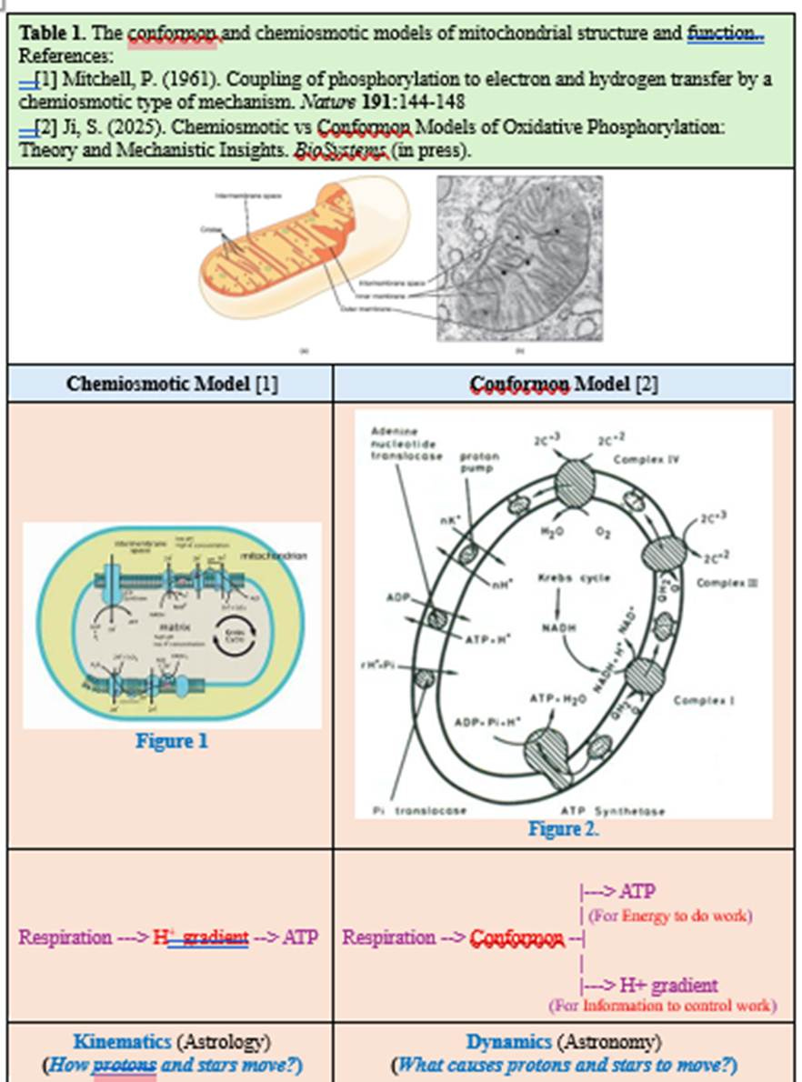 A diagram of a cell

AI-generated content may be incorrect.
