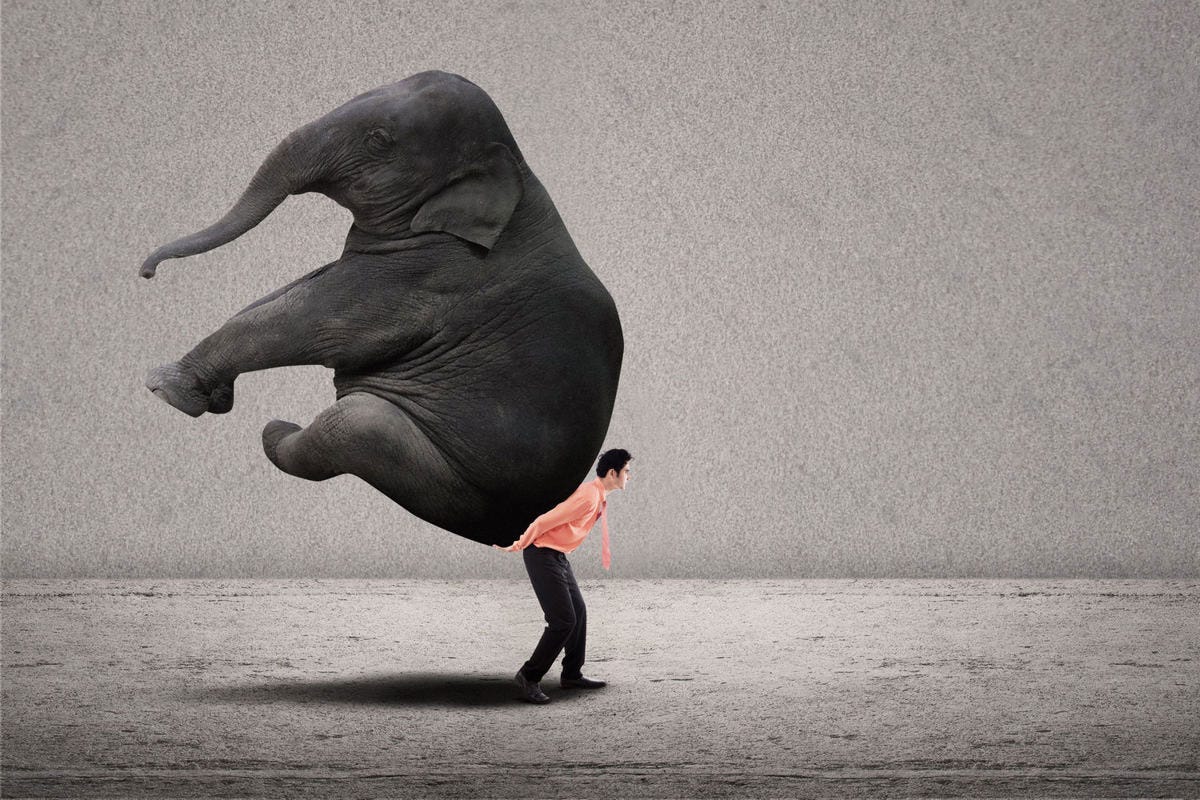 The Elephant and The Rider in Our Mind | Medium The Elephant and The Rider in Our Mind | Medium