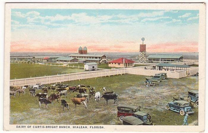 Vintage Postcard of Bright Dairy Farm in Hialeah