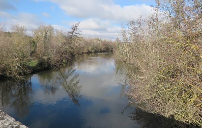 A peaceful river surrounded by trees conveying the feeling of a happy place to be