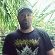 Daniel Chamberlin's avatar