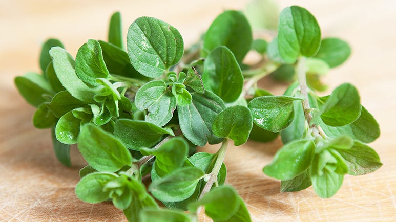 marjoram health benefits