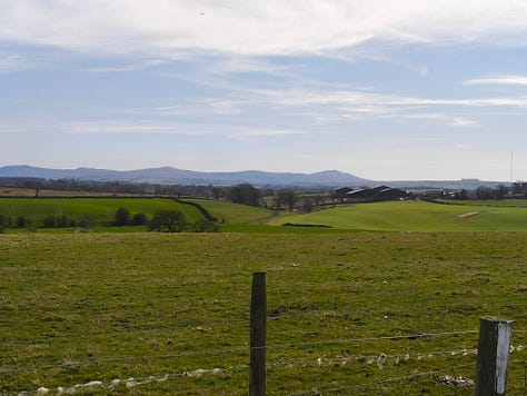 Photo 1 is of the Cumbrian hills, the second is of my tent in the field and the third is the view from inside my tent looking at my dog.