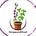 Bergamot & Basil Specialty Herbs