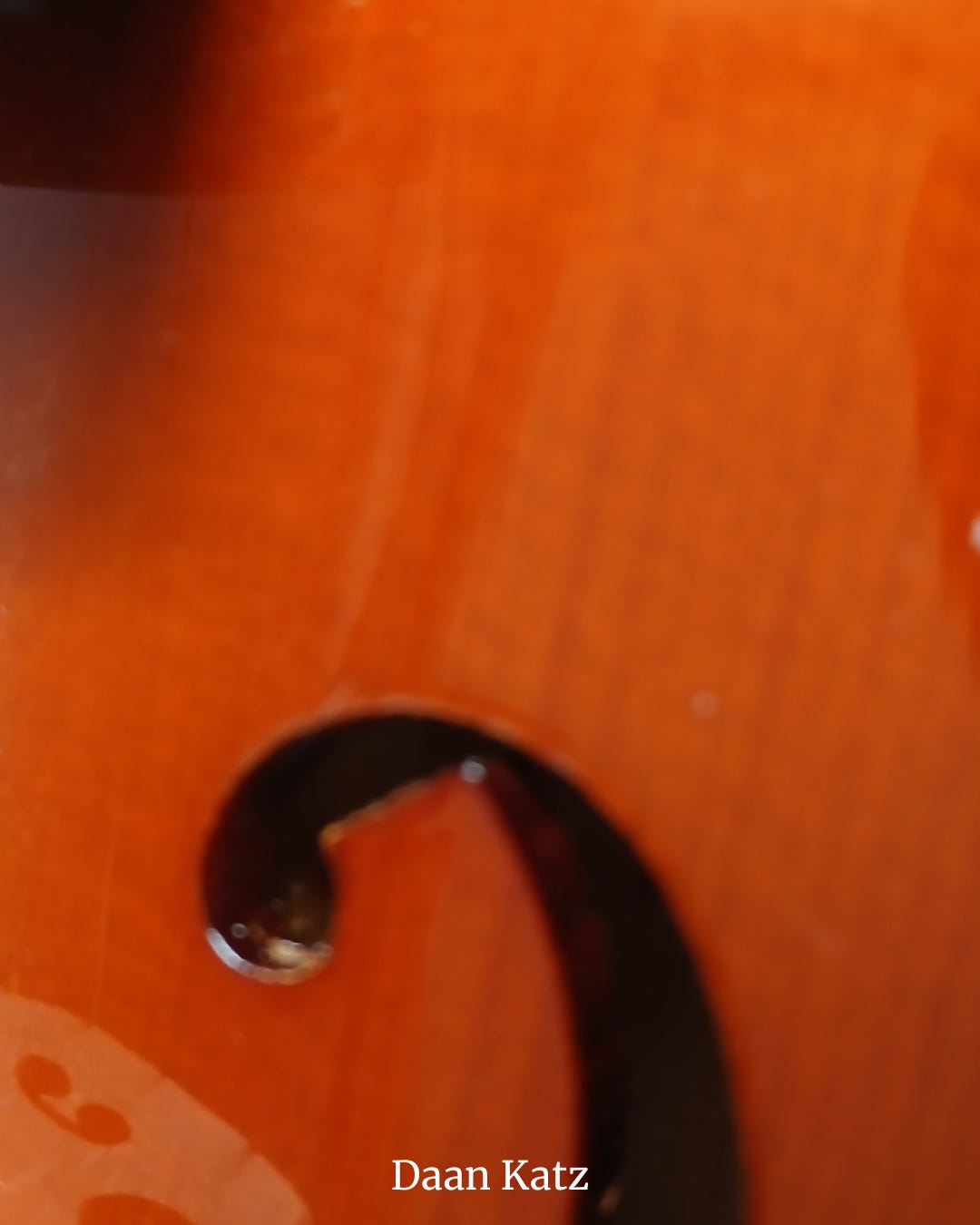 Detail of the violin's varnished wood and f-hole in shadow.'