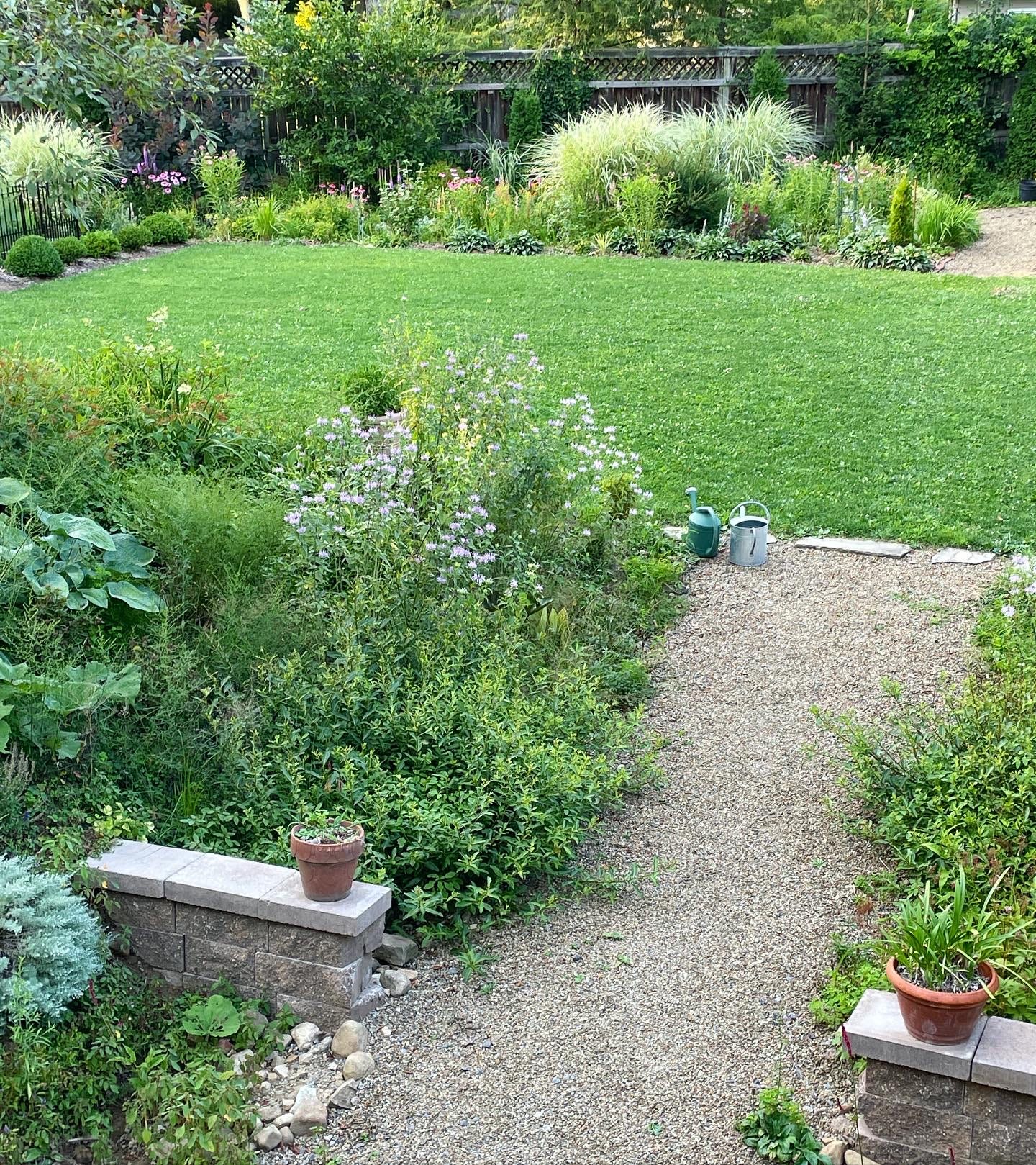 Here is a view taken last summer looking from the Ruin garden, across the lawn that replaced the driveway, and to half of the Long Border planting that is in front of the same privacy fence. Here is a view taken last summer looking from the Ruin garden, across the lawn that replaced the driveway, and to half of the Long Border planting that is in front of the same privacy fence.
