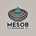Mesob Magazine's avatar