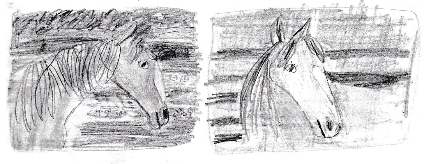 horses sketched in pencil by Beth Spencer