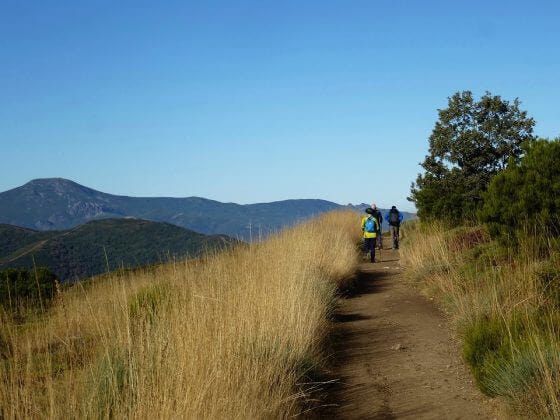 How many Camino routes are there? - Hillwalk Tours Self-Guided Hiking Tours